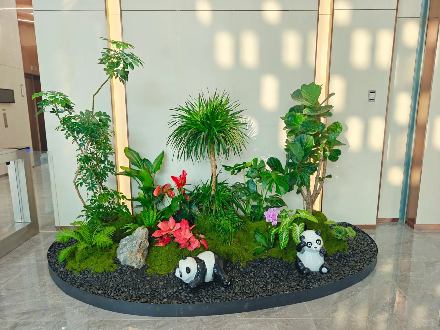 价格实惠的盆景租摆,就在宁波北仑!