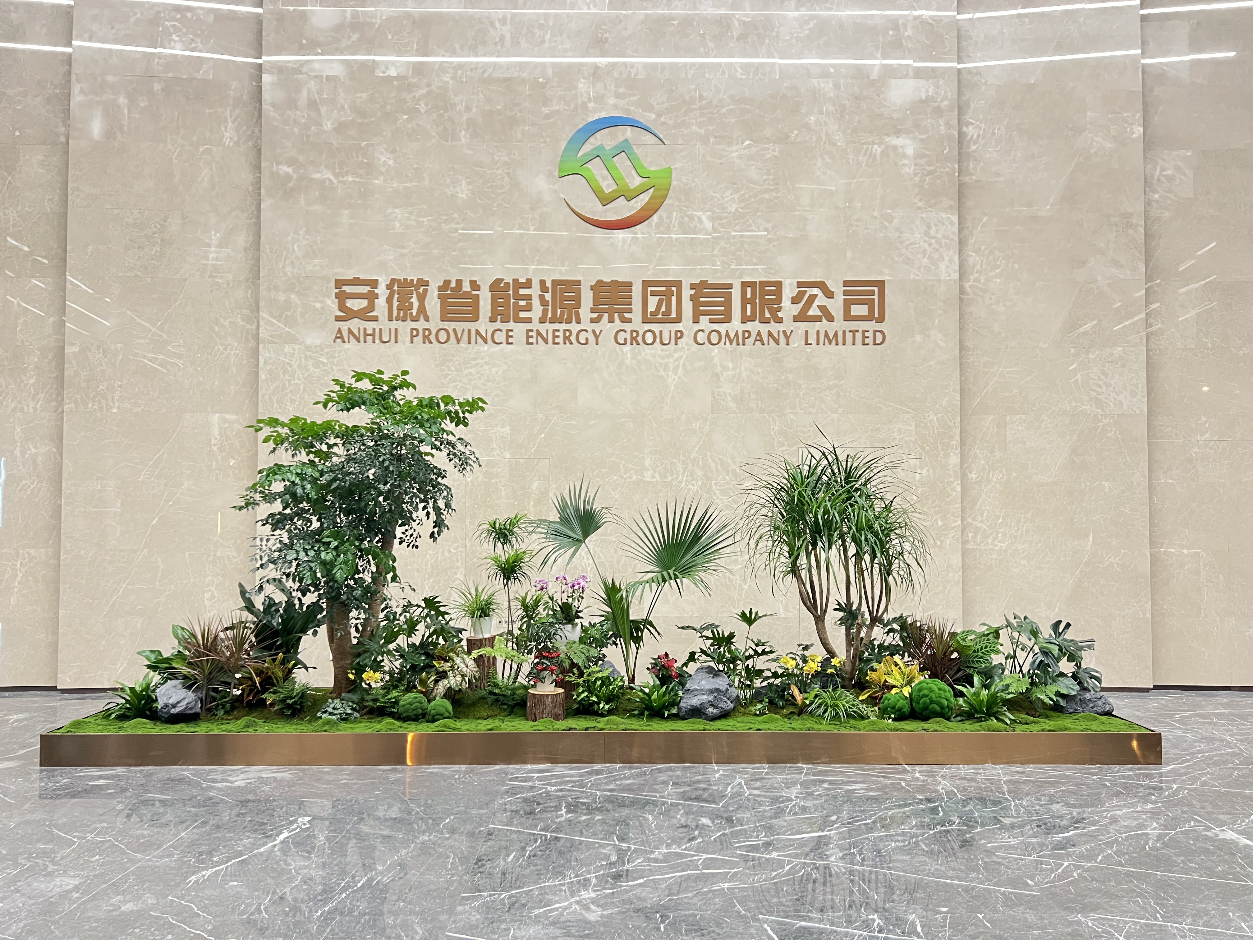 了解宁波奉化绿植租摆价格，开启绿色办公生活！